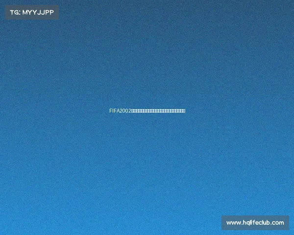 FIFA2002世界杯回忆金丝发传奇球星风采再现绿茵经典瞬间